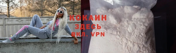 индика Приозерск