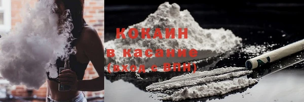 индика Приозерск