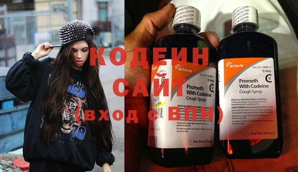 индика Приозерск