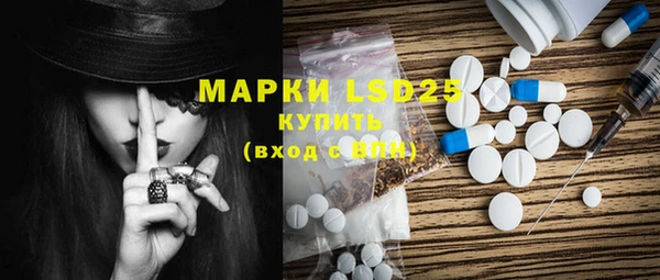 индика Приозерск