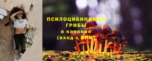 трава Жердевка
